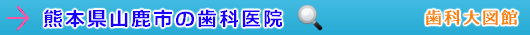 山鹿市の歯科医院（熊本県）