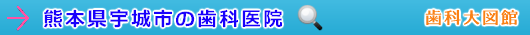 宇城市の歯科医院（熊本県）