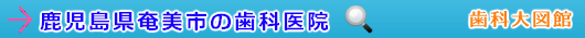 奄美市の歯科医院（鹿児島県）