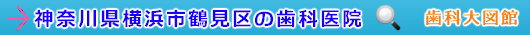 横浜市鶴見区の歯科医院（神奈川県）