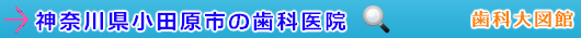 小田原市の歯科医院（神奈川県）