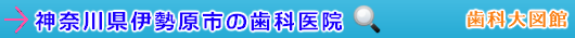 秦伊勢原市の歯科医院（神奈川県）