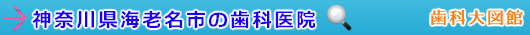 海老名市の歯科医院（神奈川県）