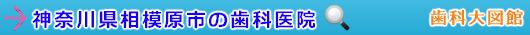 相模原市の歯科医院（神奈川県）