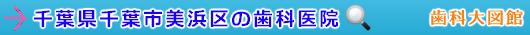 千葉市美浜区の歯科医院（千葉県）