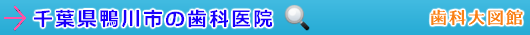 鴨川市の歯科医院（千葉県）