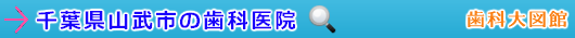 山武市の歯科医院（千葉県）