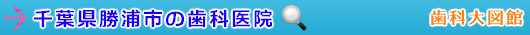 勝浦市の歯科医院（千葉県）