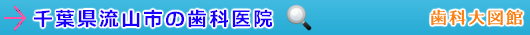 流山市の歯科医院（千葉県）