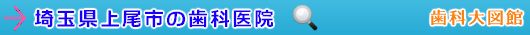 上尾市の歯科医院（埼玉県）