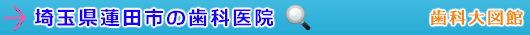 蓮田市の歯科医院（埼玉県）