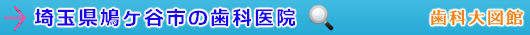 鳩ヶ谷市の歯科医院（埼玉県）