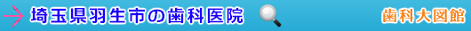 羽生市の歯科医院（埼玉県）