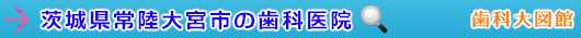 常陸大宮市の歯科医院（茨城県）