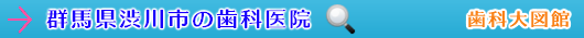 渋川市の歯科医院（群馬県）