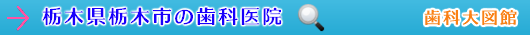 栃木市の歯科医院（栃木県）