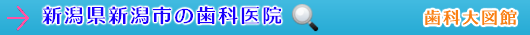 新潟市の歯科医院（新潟県）