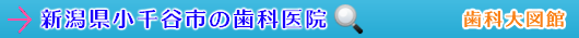 小千谷市の歯科医院（新潟県）