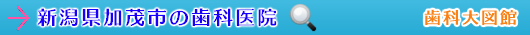 加茂市の歯科医院（新潟県）