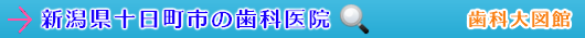 十日町市の歯科医院（新潟県）