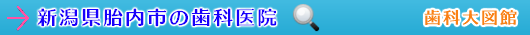 胎内市の歯科医院（新潟県）