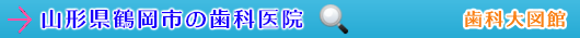 鶴岡市の歯科医院（山形県）