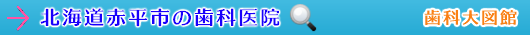 赤平市の歯科医院（北海道）