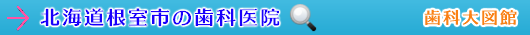 根室市の歯科医院（北海道）