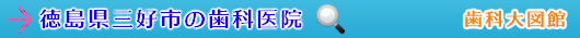 三好市の歯科医院（徳島県）