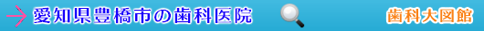 豊橋市の歯科医院（愛知県）