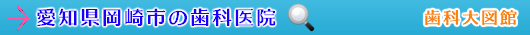 岡崎市の歯科医院（愛知県）