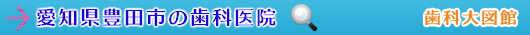 豊田市の歯科医院（愛知県）