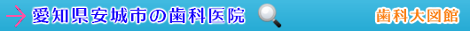 安城市の歯科医院（愛知県）