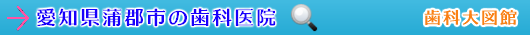 蒲郡市の歯科医院（愛知県）