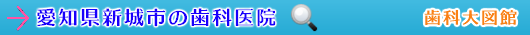 新城市の歯科医院（愛知県）