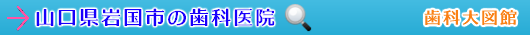 岩国市の歯科医院（山口県）