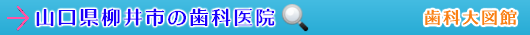 柳井市の歯科医院（山口県）